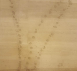 瓷磚打磨拋光保養(yǎng)怎么做？